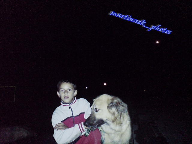 wamxD