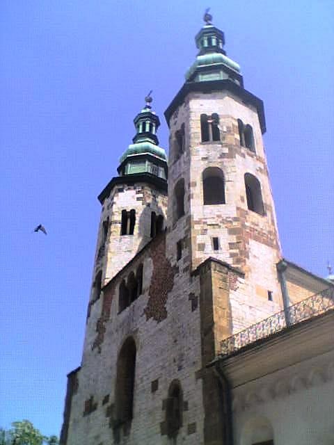 Koci w. Andrzeja