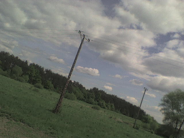 widoczek.
