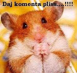Daj komenta xD