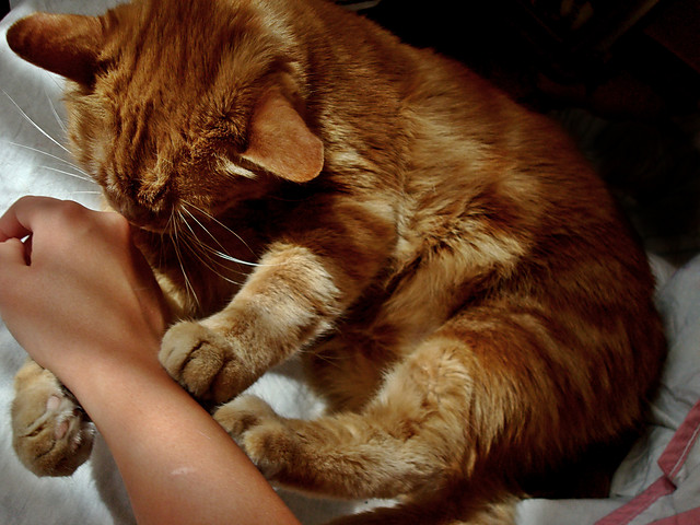Ruudiiiii! x333