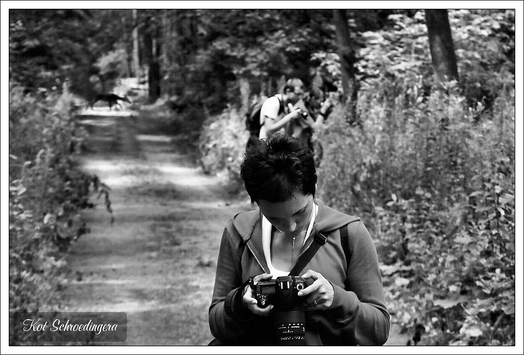 Fotomalowanie 2 - VI