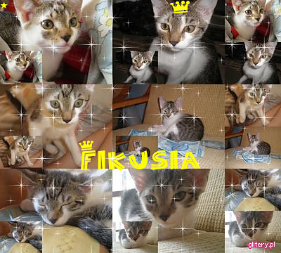 Fika wymiata