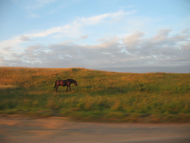 Zatsknione.