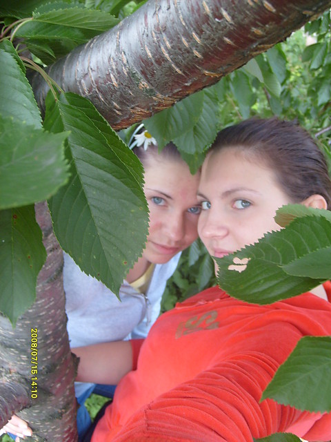 Przyja & Krzeczw