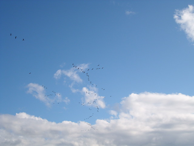 sky
