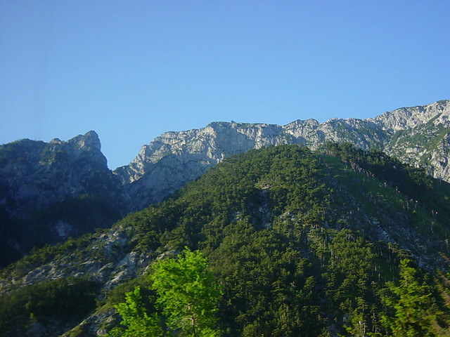 alpy