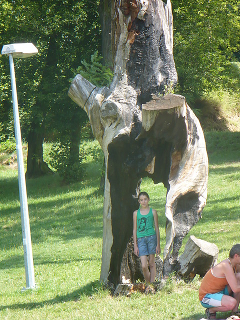 Zalesie- 2008