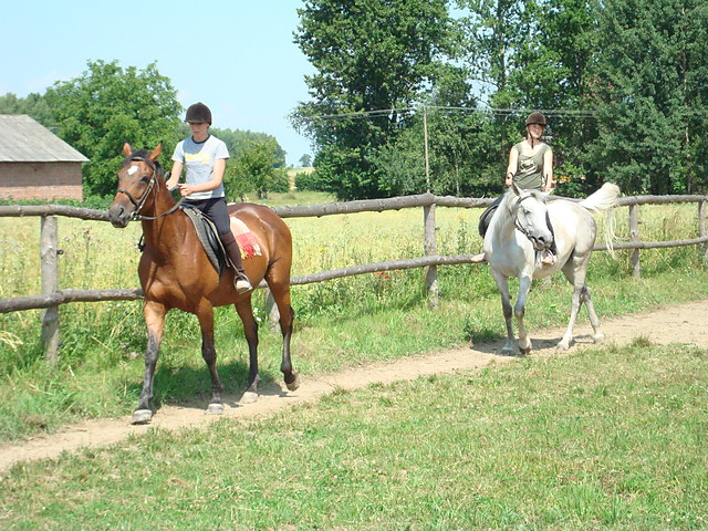 My ;*