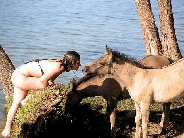 konik ^.^
