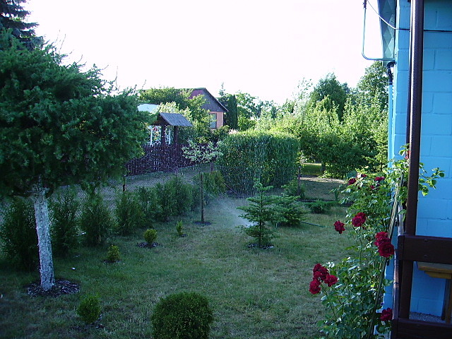 Dziakaa 