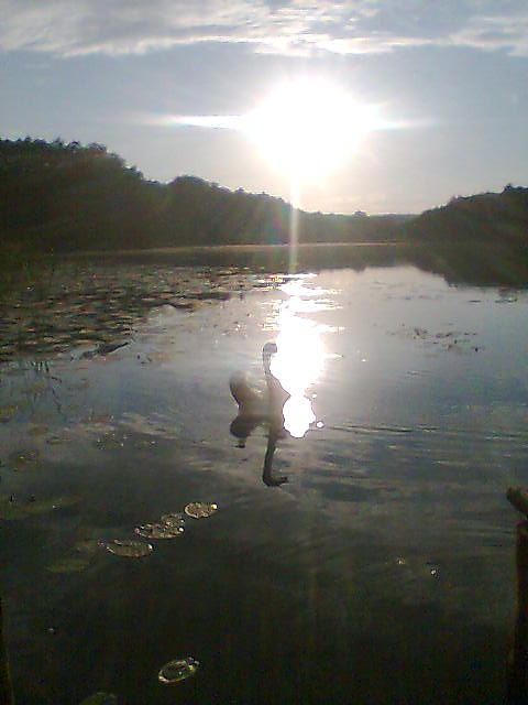 Mazury 2008