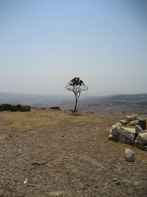 samotno