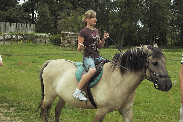 Konik = )