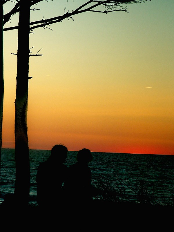Love is all around