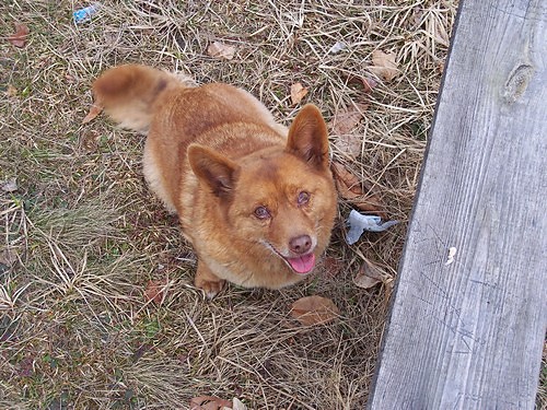 Ruda :)