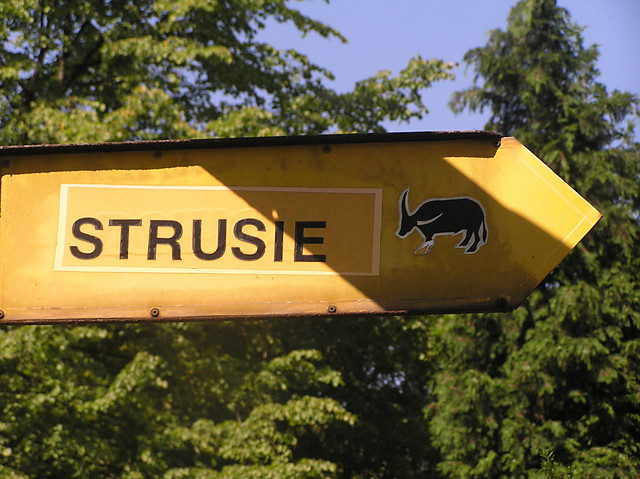 Stru ?? a moe jednak nie ...