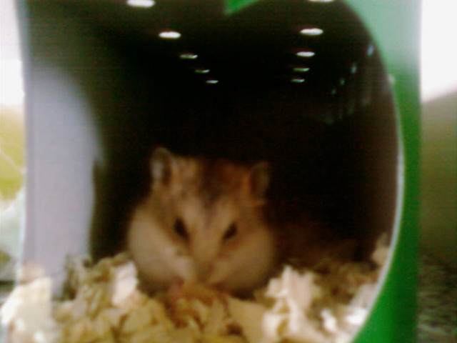 Kuzco :D