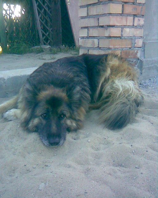 Gracja