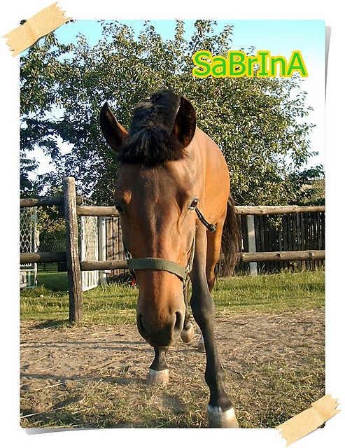 SaBrInA