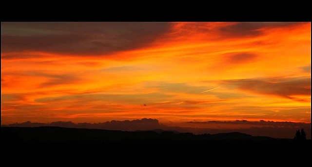 From My Window