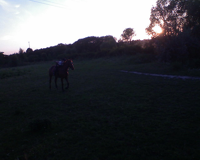 Ja & Obsesja :****