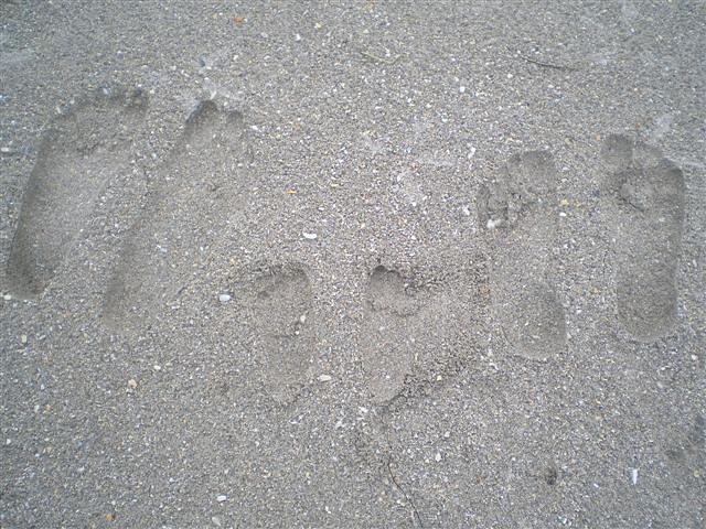 brak ich