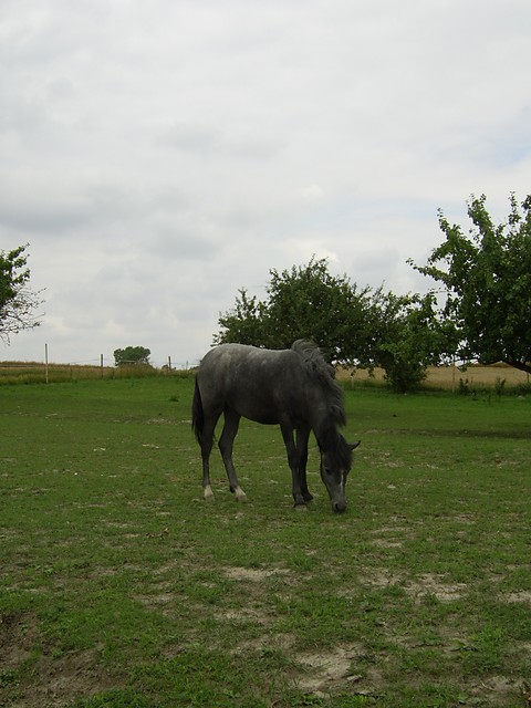 Ksina :)