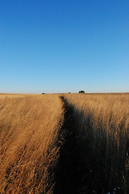 cieka
