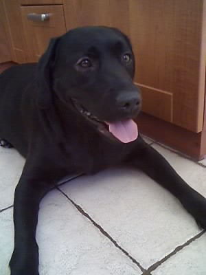 Rina :-)