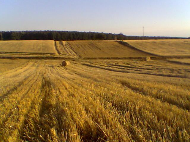 lato