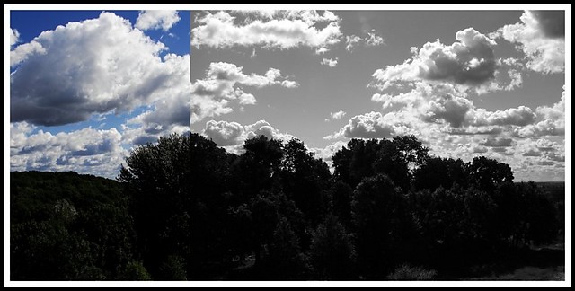 out of the window