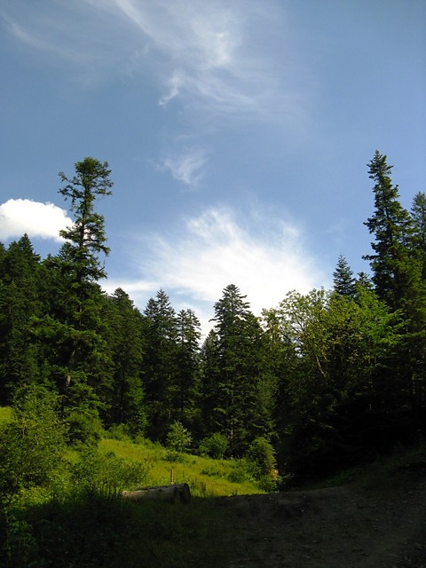 Potasznia