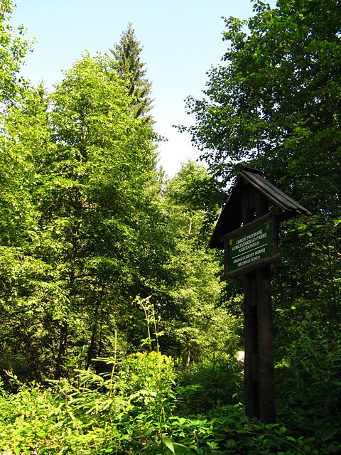 Tablica