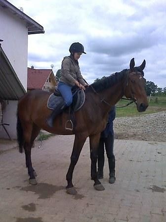Herkules&me;*