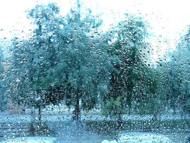 widok z okna