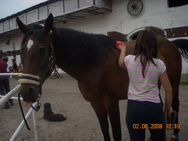 Jzorek  ; **