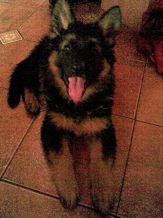 Azja ;**