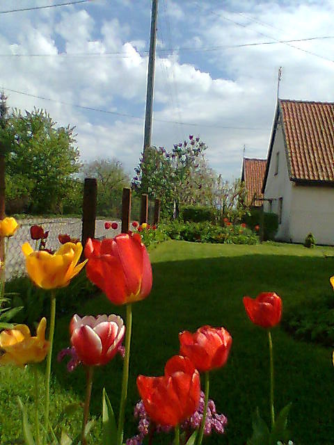 KOLOROWY PASK ^^