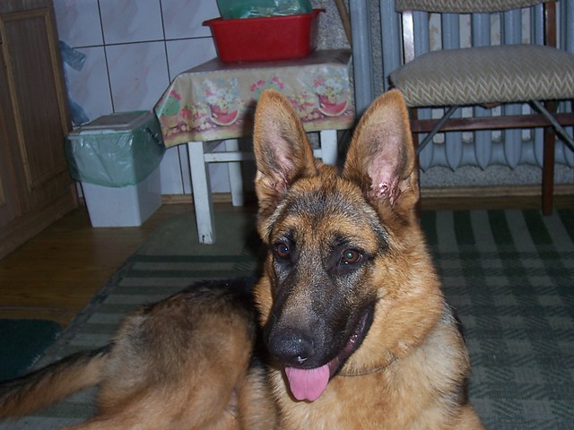 p roku