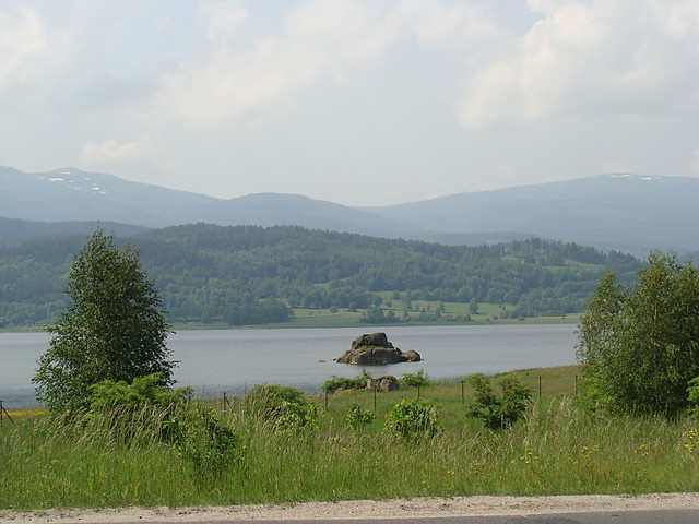 przyroda