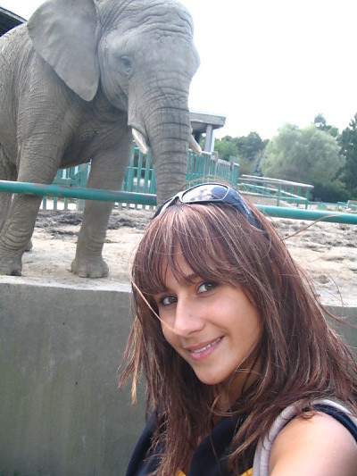 zoo