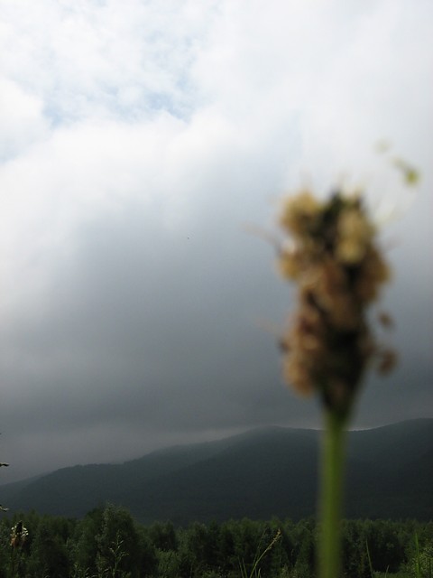 bieszczady