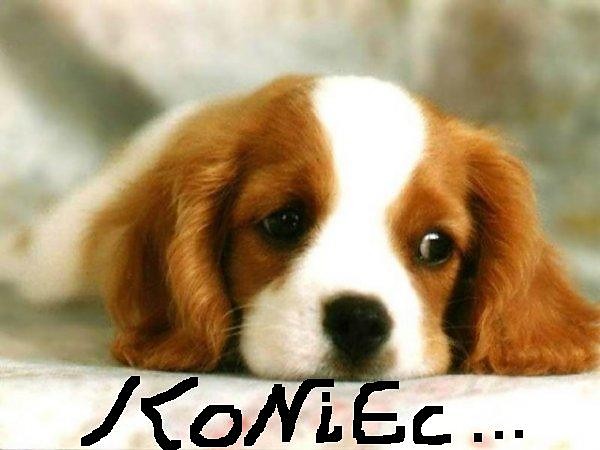 Ni o To Koniec ;)