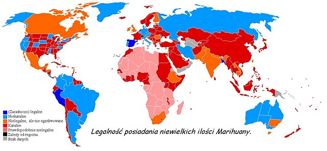 Ada i Wikipedia