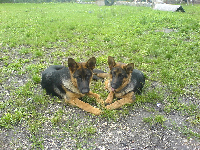 Doda&Peto :]