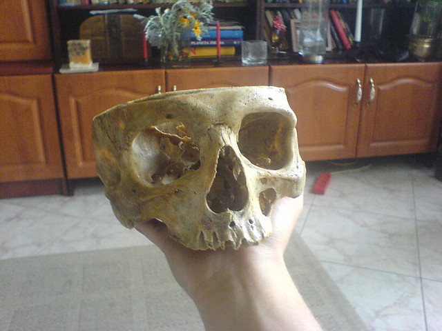 Stafanek :]