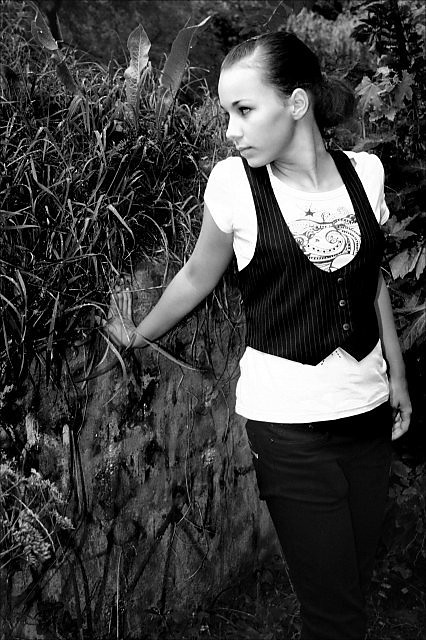 achillea