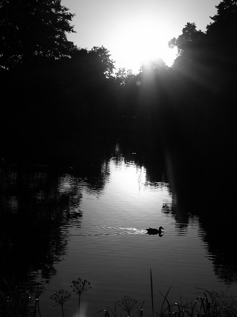 Sunset @ Zwierzyniec