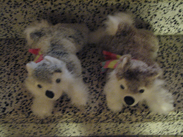 Maskotki 2x